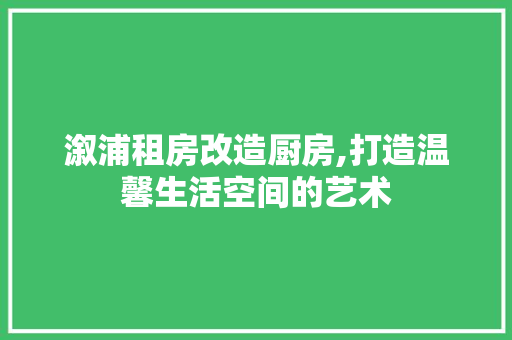 溆浦租房改造厨房,打造温馨生活空间的艺术 建筑设计