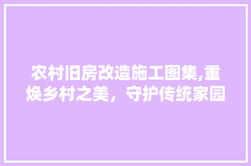 农村旧房改造施工图集,重焕乡村之美，守护传统家园