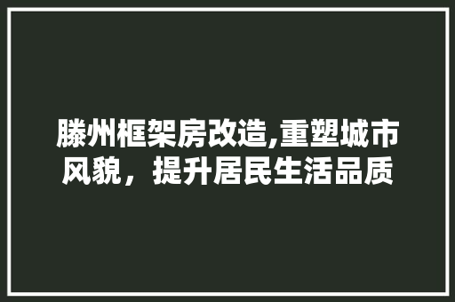 滕州框架房改造,重塑城市风貌，提升居民生活品质 墙面装饰