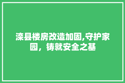 滦县楼房改造加固,守护家园，铸就安全之基 墙面装饰