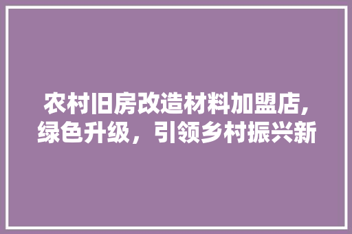 农村旧房改造材料加盟店,绿色升级，引领乡村振兴新风尚