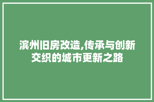 滨州旧房改造,传承与创新交织的城市更新之路 地面装修