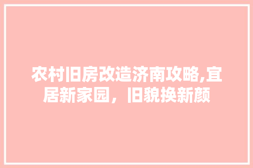 农村旧房改造济南攻略,宜居新家园，旧貌换新颜