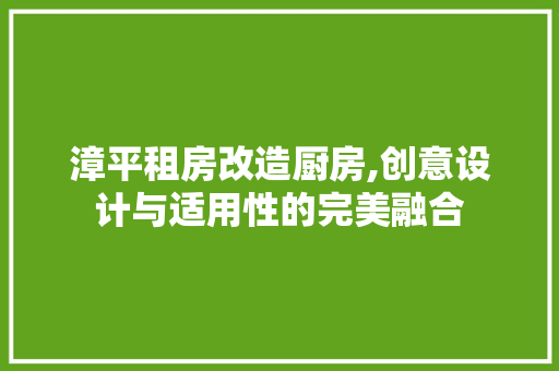 漳平租房改造厨房,创意设计与适用性的完美融合 装修攻略