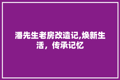 潘先生老房改造记,焕新生活，传承记忆 门窗装修