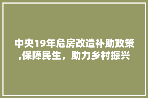 中央19年危房改造补助政策,保障民生，助力乡村振兴
