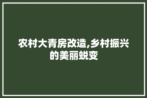 农村大青房改造,乡村振兴的美丽蜕变