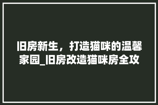 旧房新生，打造猫咪的温馨家园_旧房改造猫咪房全攻略