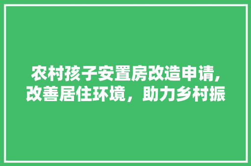 农村孩子安置房改造申请,改善居住环境，助力乡村振兴