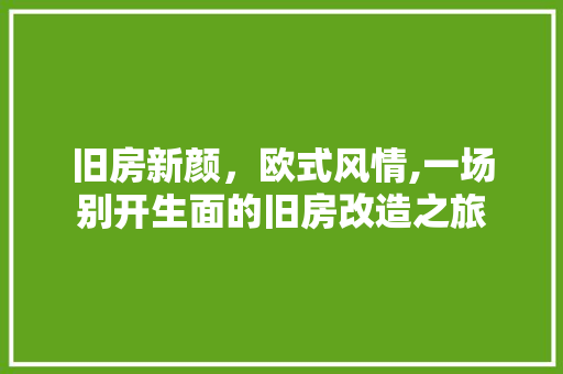 旧房新颜，欧式风情,一场别开生面的旧房改造之旅 墙面装饰