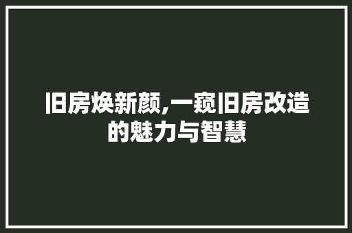 旧房焕新颜,一窥旧房改造的魅力与智慧 装修材料