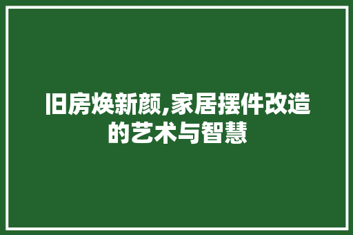 旧房焕新颜,家居摆件改造的艺术与智慧 建筑设计