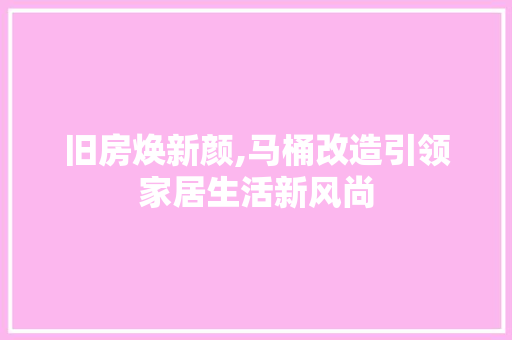 旧房焕新颜,马桶改造引领家居生活新风尚 景观设计