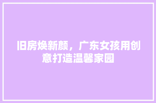 旧房焕新颜，广东女孩用创意打造温馨家园
