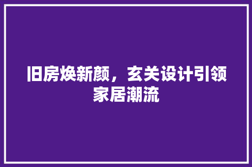 旧房焕新颜，玄关设计引领家居潮流