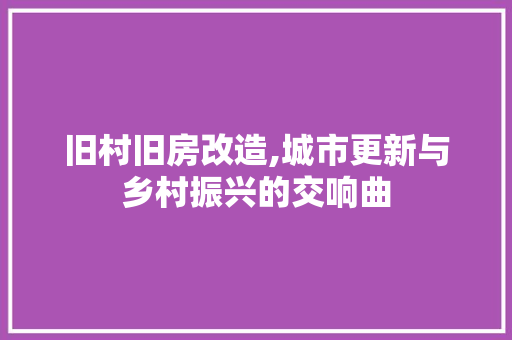 旧村旧房改造,城市更新与乡村振兴的交响曲