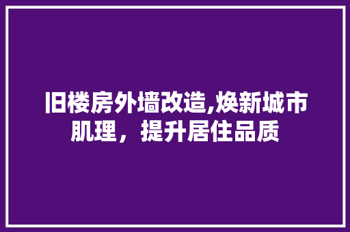 旧楼房外墙改造,焕新城市肌理，提升居住品质