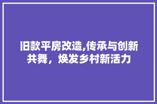 旧款平房改造,传承与创新共舞，焕发乡村新活力 装修材料