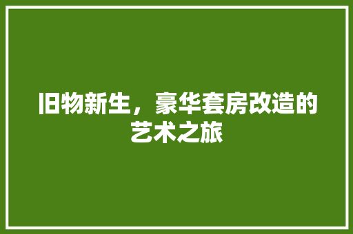 旧物新生，豪华套房改造的艺术之旅 装修材料