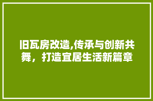 旧瓦房改造,传承与创新共舞，打造宜居生活新篇章