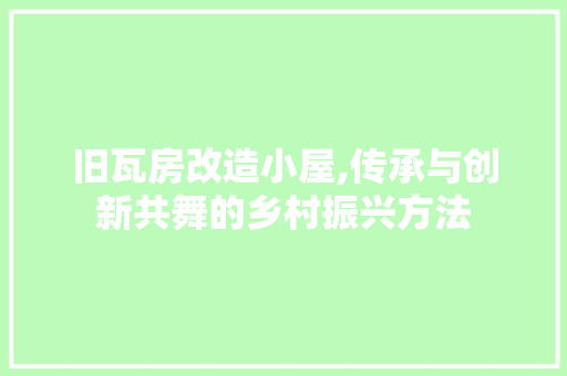 旧瓦房改造小屋,传承与创新共舞的乡村振兴方法 墙面装饰