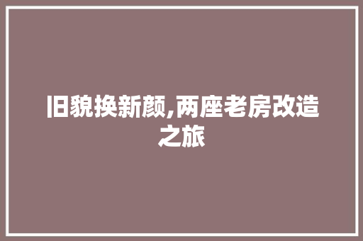 旧貌换新颜,两座老房改造之旅 建筑设计