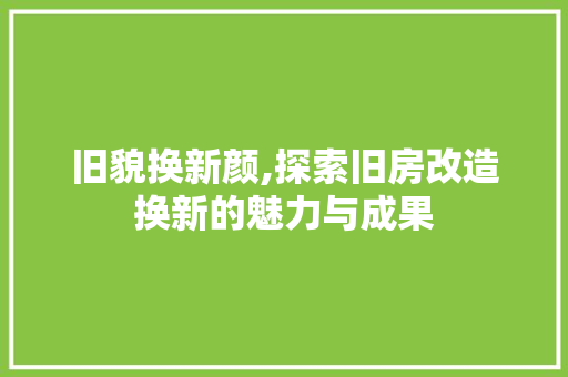 旧貌换新颜,探索旧房改造换新的魅力与成果 装修攻略