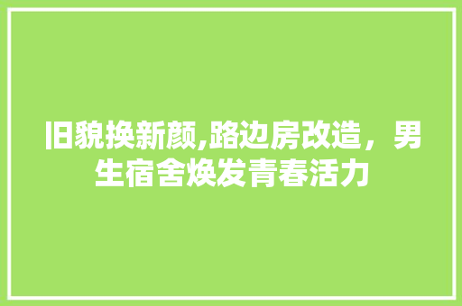 旧貌换新颜,路边房改造，男生宿舍焕发青春活力 庭院装修