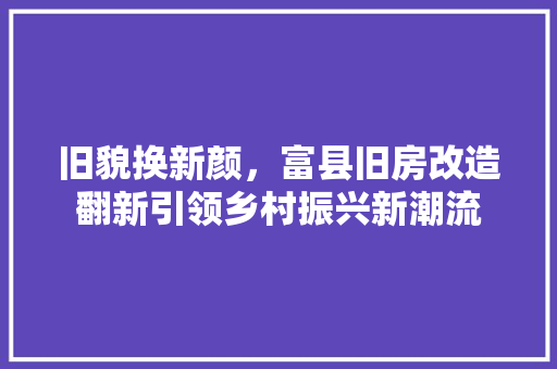 旧貌换新颜，富县旧房改造翻新引领乡村振兴新潮流 隔断设计