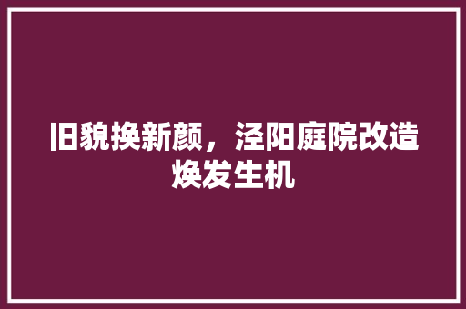 旧貌换新颜，泾阳庭院改造焕发生机