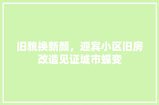 旧貌换新颜，迎宾小区旧房改造见证城市蝶变