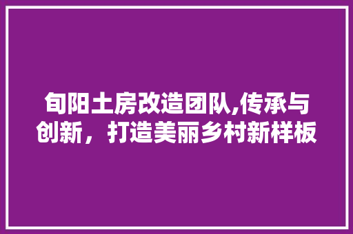 旬阳土房改造团队,传承与创新，打造美丽乡村新样板
