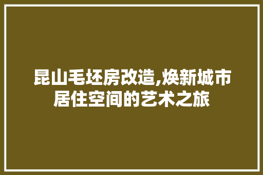 昆山毛坯房改造,焕新城市居住空间的艺术之旅
