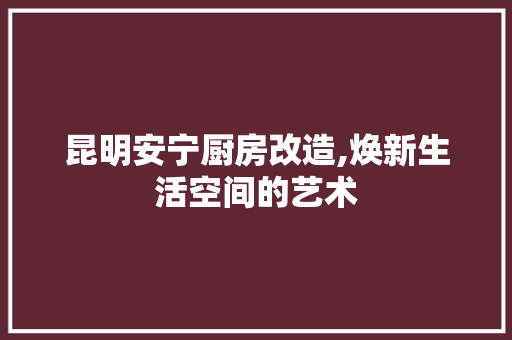 昆明安宁厨房改造,焕新生活空间的艺术