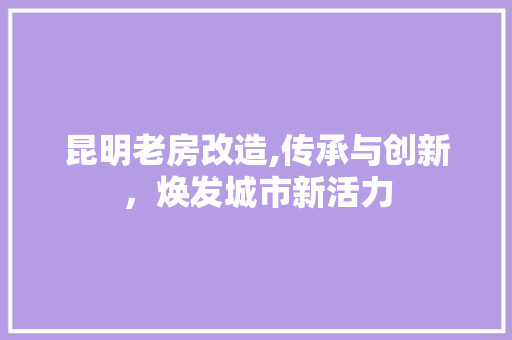 昆明老房改造,传承与创新，焕发城市新活力 隔断设计