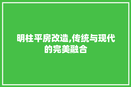 明柱平房改造,传统与现代的完美融合 景观设计