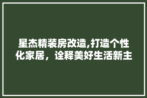 星杰精装房改造,打造个性化家居，诠释美好生活新主张