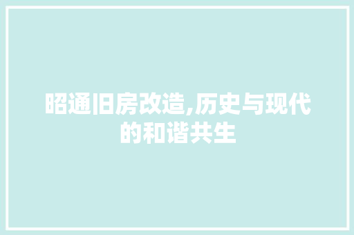 昭通旧房改造,历史与现代的和谐共生 建筑设计
