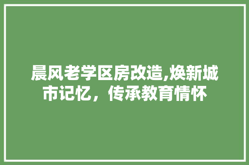 晨风老学区房改造,焕新城市记忆，传承教育情怀