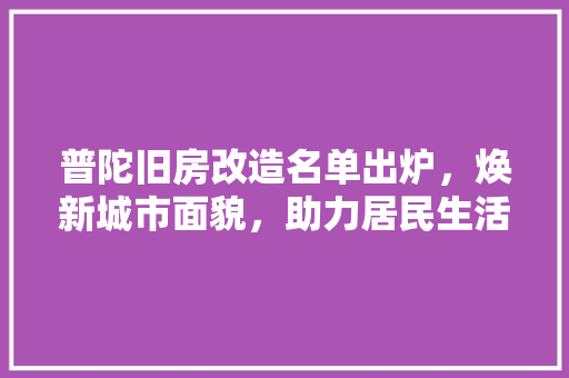 普陀旧房改造名单出炉，焕新城市面貌，助力居民生活品质提升 门窗装修