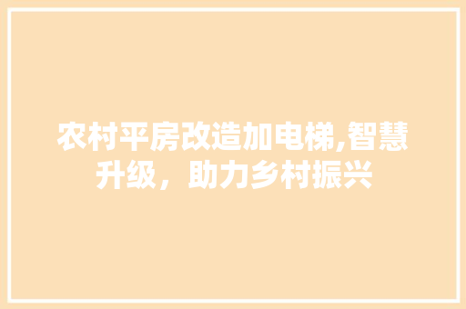 农村平房改造加电梯,智慧升级，助力乡村振兴 建筑设计