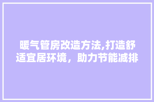 暖气管房改造方法,打造舒适宜居环境，助力节能减排