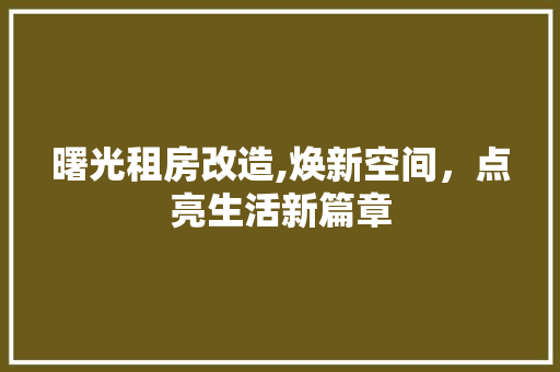 曙光租房改造,焕新空间，点亮生活新篇章