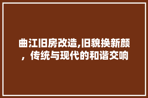 曲江旧房改造,旧貌换新颜，传统与现代的和谐交响 墙面装饰