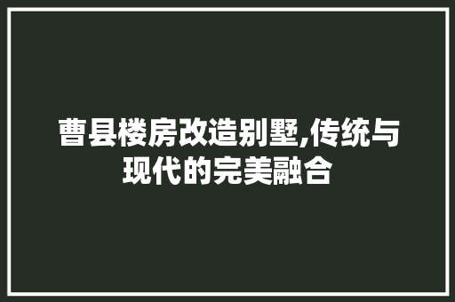 曹县楼房改造别墅,传统与现代的完美融合 景观设计