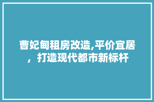 曹妃甸租房改造,平价宜居，打造现代都市新标杆