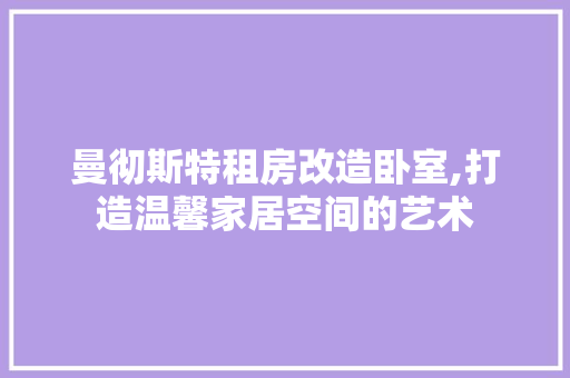 曼彻斯特租房改造卧室,打造温馨家居空间的艺术