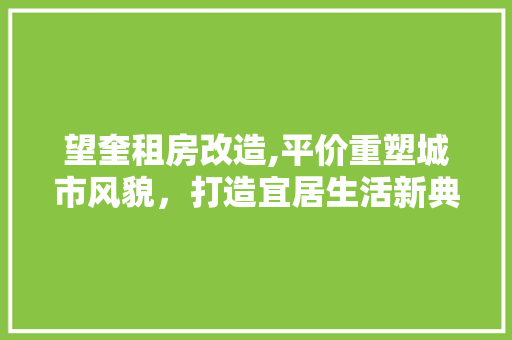 望奎租房改造,平价重塑城市风貌，打造宜居生活新典范 景观设计