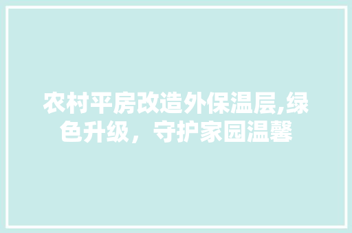 农村平房改造外保温层,绿色升级，守护家园温馨 装修材料