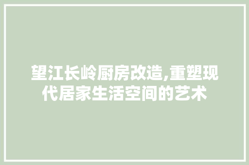 望江长岭厨房改造,重塑现代居家生活空间的艺术